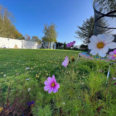Hillview Bed & Breakfast Enniskerry Luaran gambar