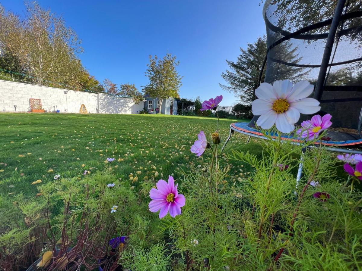 Hillview Bed & Breakfast Enniskerry Luaran gambar